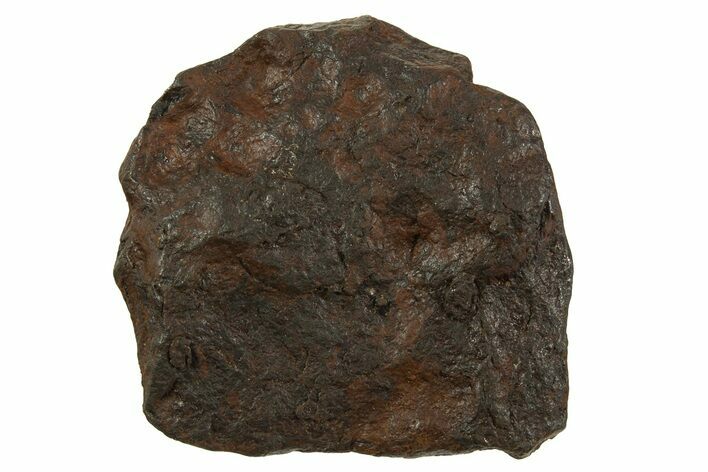 Canyon Diablo Iron Meteorite ( g) - Arizona #335973